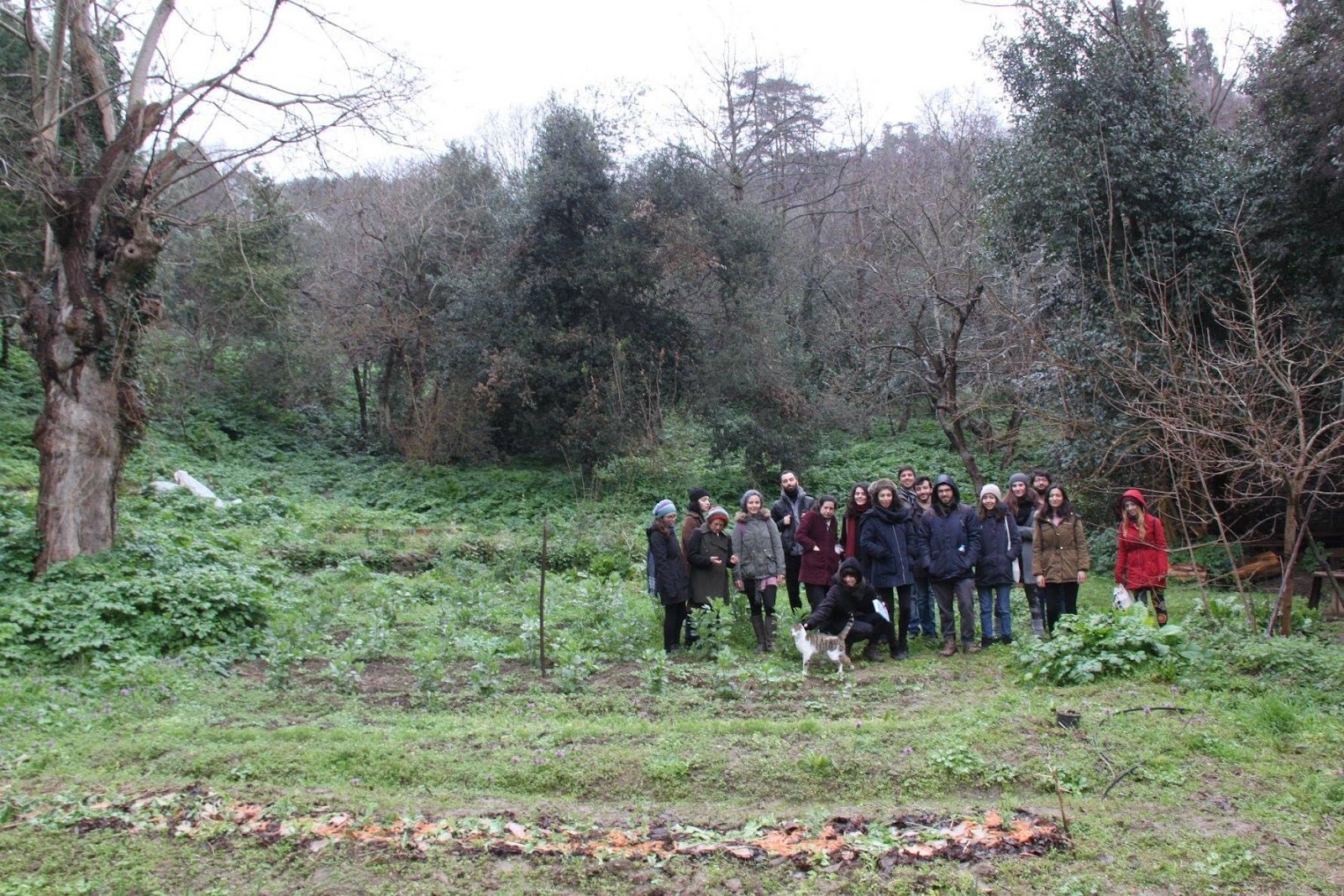 A group of people standing in a field

Description automatically generated with medium confidence